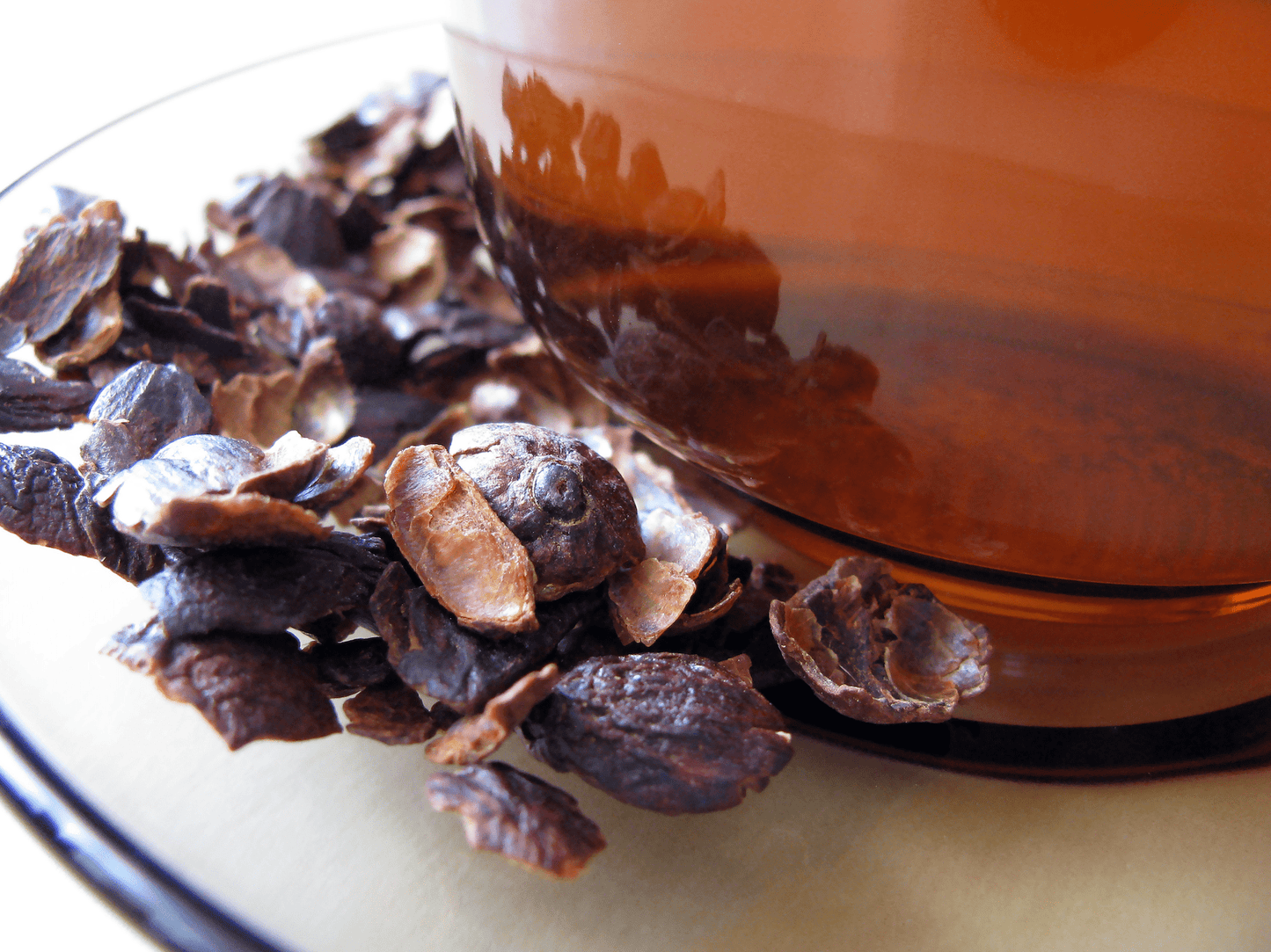 Nahaufnahme von Cascara-Schalen neben einer braunen Tasse. Die getrockneten Schalen von Kaffeekirschen liegen verstreut auf einer Oberfläche, während die braune Tasse leicht von der Seite sichtbar ist.