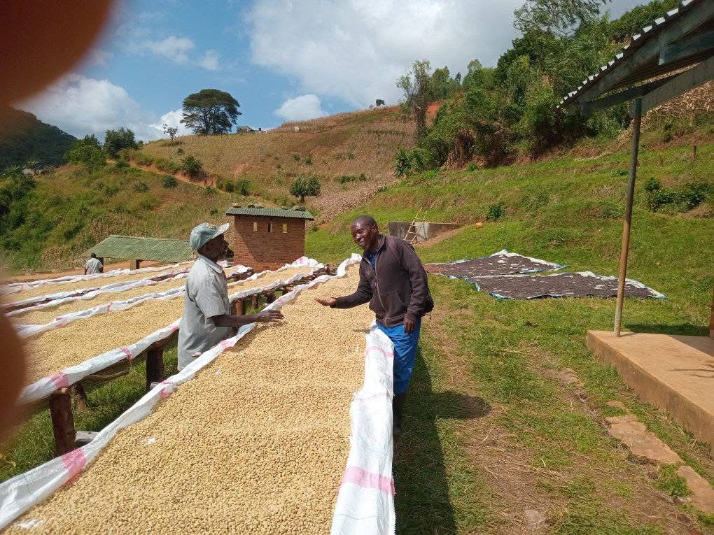 100 % Arabica I Single Origin aus Malawi