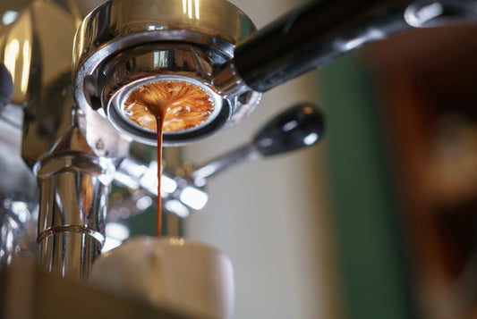 Kostenlose Kaffee Bohnen Probe