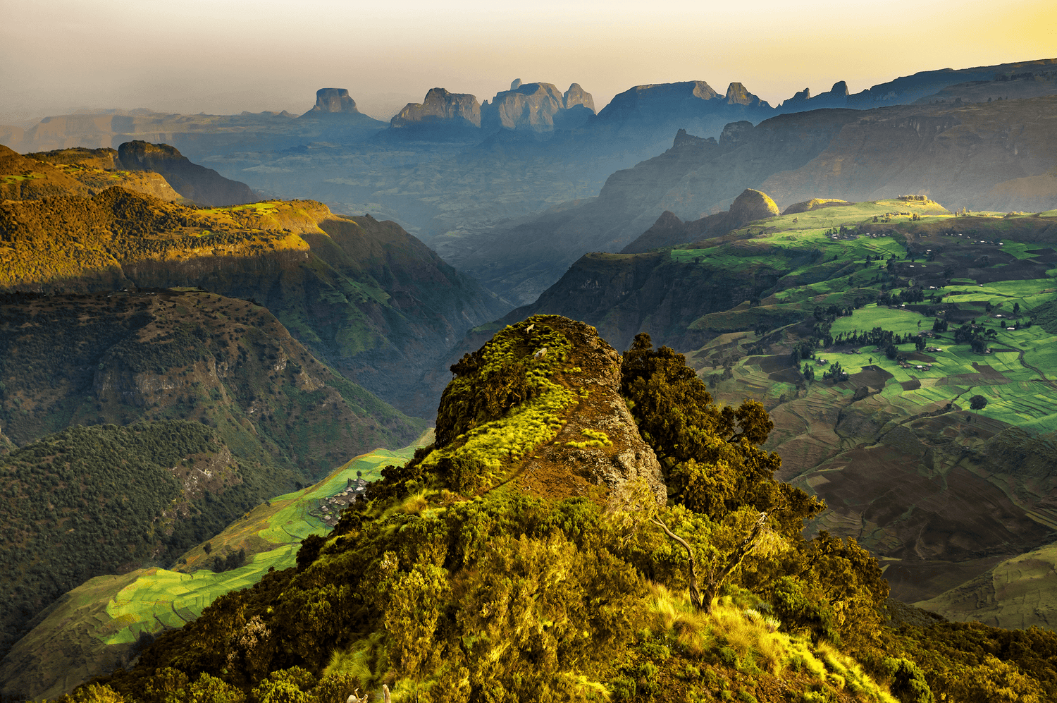 Ein atemberaubender Blick auf die hügelige und grüne Landschaft von Djimmah, Äthiopien. Die weiten, grünen Felder erstrecken sich über die Täler, während die steilen, bewaldeten Hänge in den Vordergrund treten. Im Hintergrund sind beeindruckende Felsformationen und Berge zu sehen, die im sanften Licht des Sonnenaufgangs oder Sonnenuntergangs leuchten. Die Szenerie vermittelt ein Gefühl von Ruhe und natürlicher Schönheit.