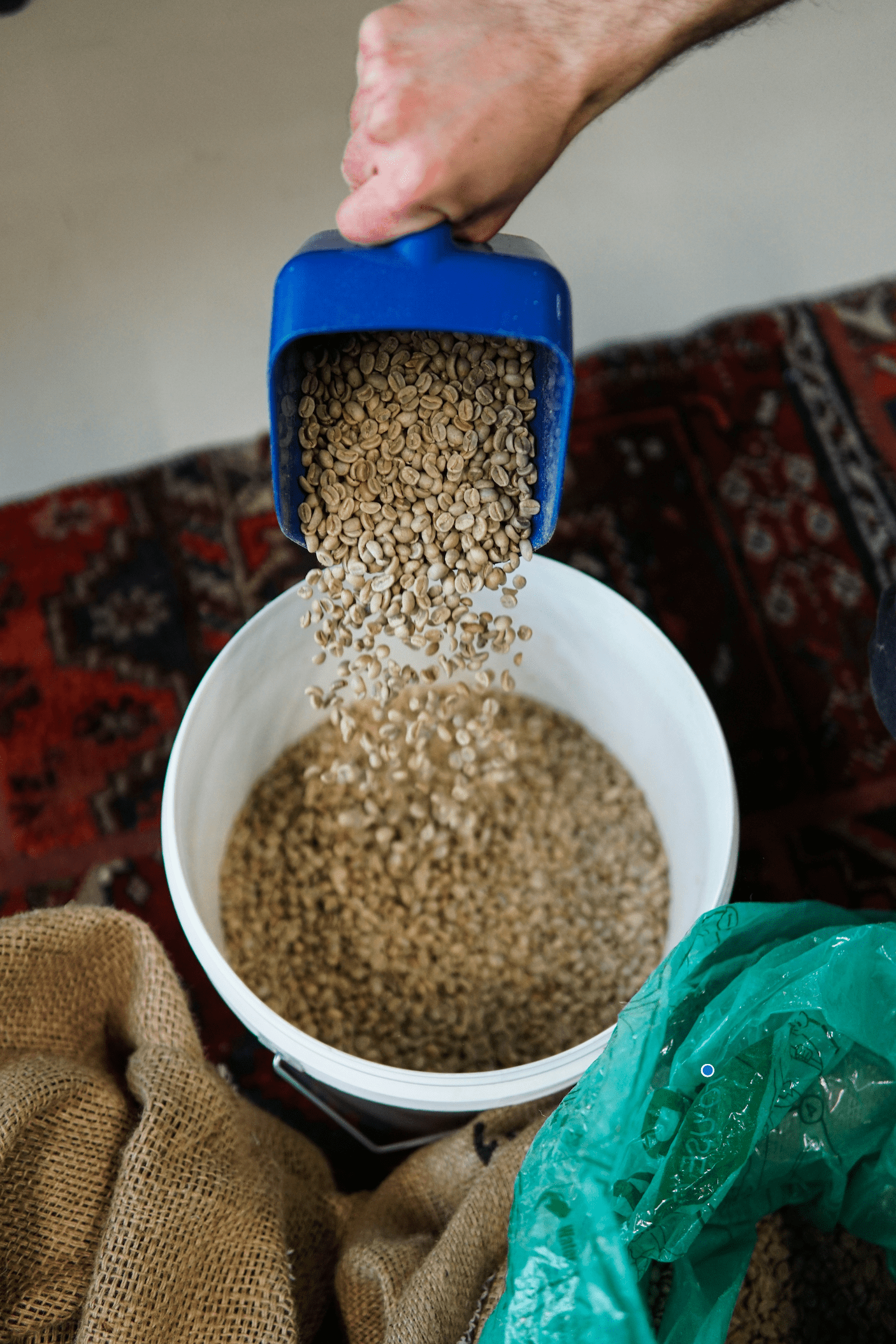 Eine Hand hält eine blaue Schaufel, aus der grüne Kaffeebohnen in einen weißen Eimer geschüttet werden. Auf dem Boden sind ein bunter Teppich sowie Jutesäcke und eine grüne Plastiktüte zu sehen. Die Szene vermittelt einen Eindruck von der Vorbereitung der Kaffeebohnen vor dem Rösten.