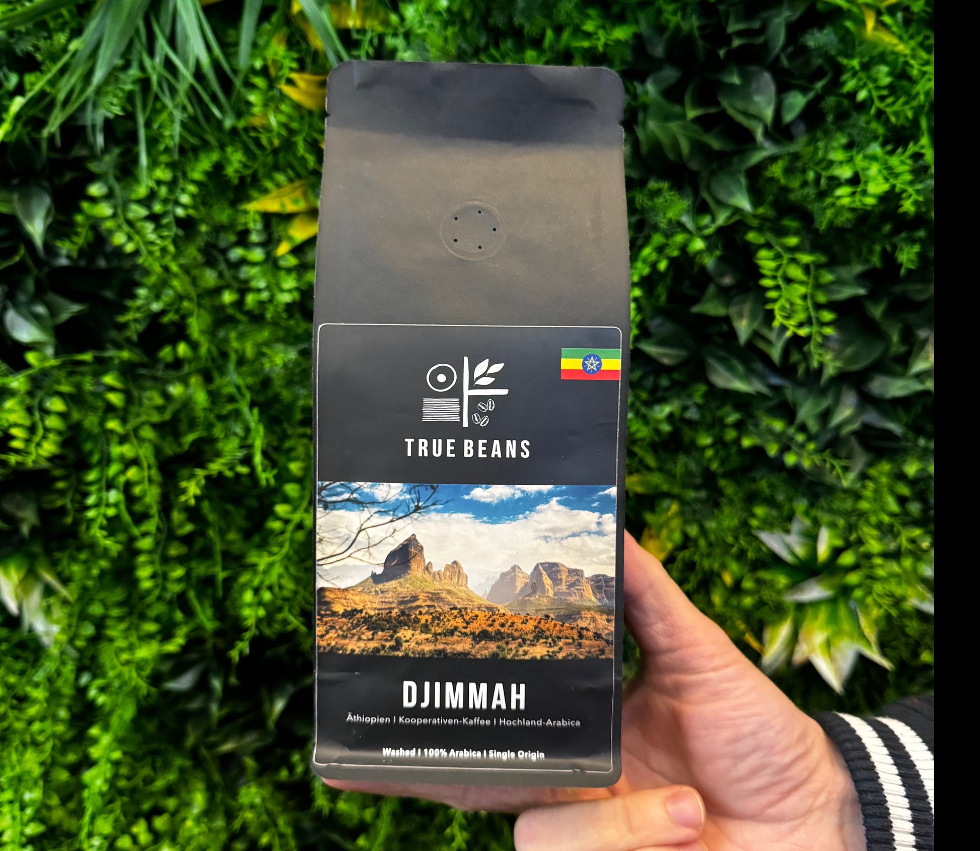 Ein Paket "TRUE BEANS DJIMMAH" äthiopischer Hochland-Arabica-Kaffee, gehalten vor einem grünen Pflanzenhintergrund.