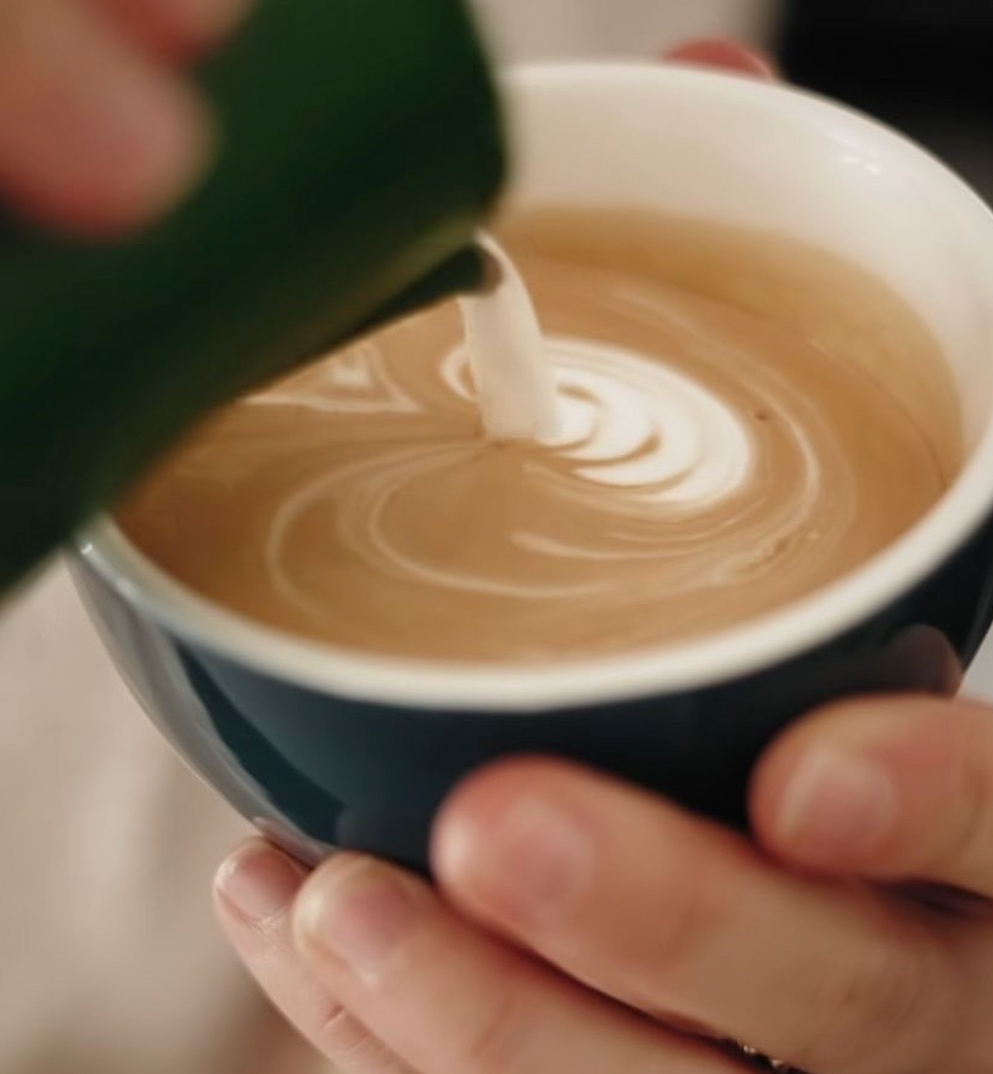 Latte-Art-Workshop in Köln I im Workshopraum der Kölner Altstadt