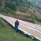 100 % Arabica I Single Origin aus Malawi