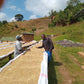 100 % Arabica I Single Origin aus Malawi