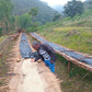 100 % Arabica I Single Origin aus Malawi