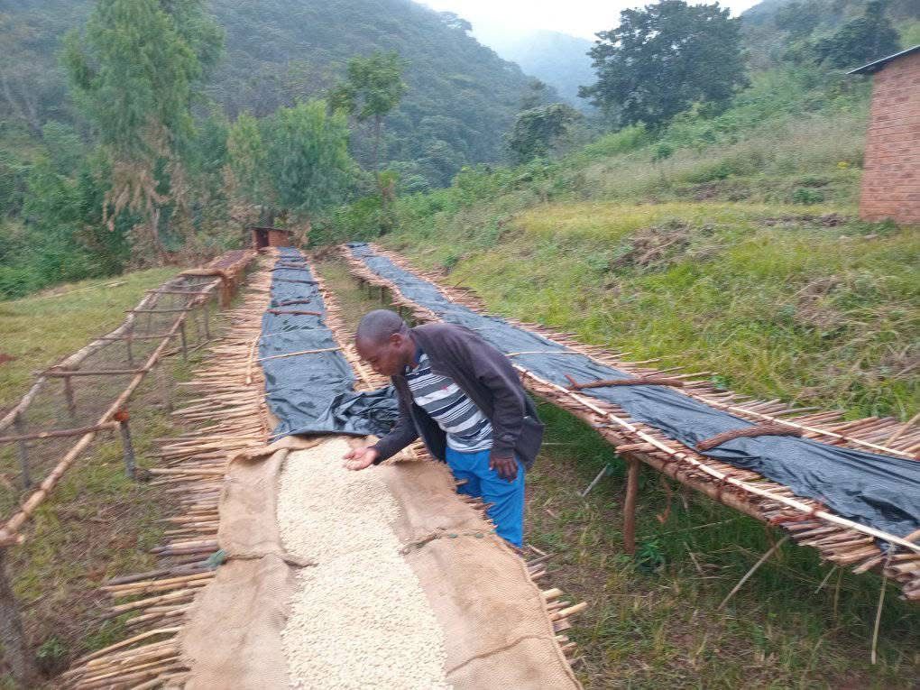 100 % Arabica I Single Origin aus Malawi