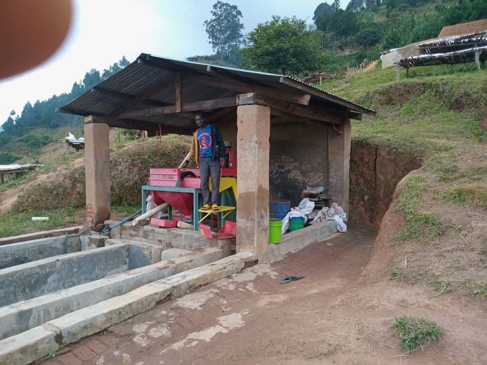 Die Verarbeitungsstätte der Kaffearm in Malawi, hier werden die roh Kaffeenbohnen vom Fruchtfleisch der Kaffeekirsche getrennt.