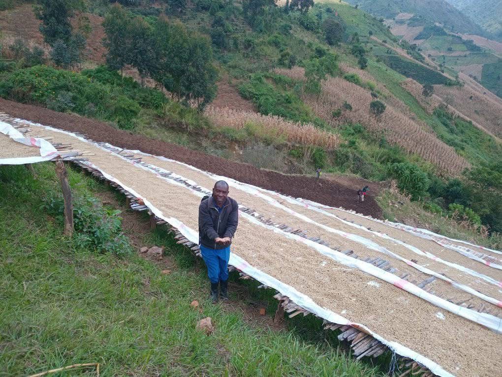 Ein Bild mit unserem Kaffeebauern Lowani, dieser steht vor einer riesigen Menge Roh Kaffee für Truebeans und hält eine Handvoll Bohnen in die Kamera