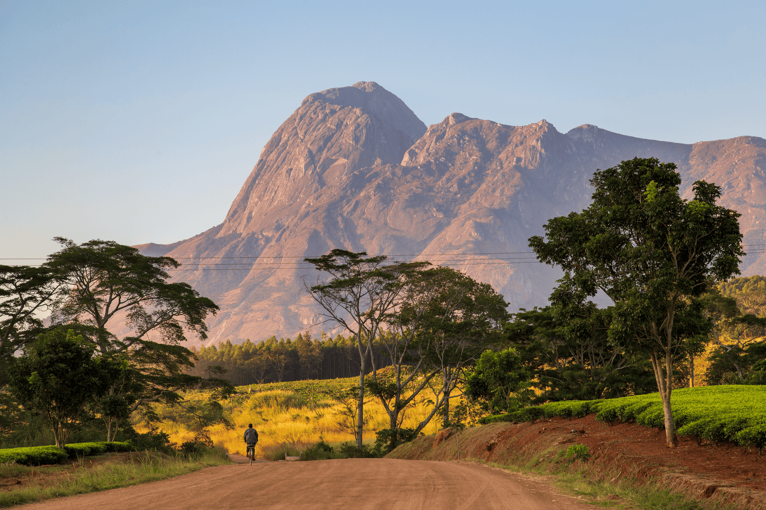 Ein atemberaubender Blick auf die Mzuzu-Region in Malawi. Im Vordergrund fährt eine Person auf einem Fahrrad auf einer unbefestigten Straße, die von üppigem, grünem Pflanzenbewuchs gesäumt ist. Im Hintergrund erhebt sich ein beeindruckendes Bergmassiv unter einem klaren, blauen Himmel. Die Landschaft ist in warmes Licht getaucht, was die natürliche Schönheit und Ruhe der Region unterstreicht.